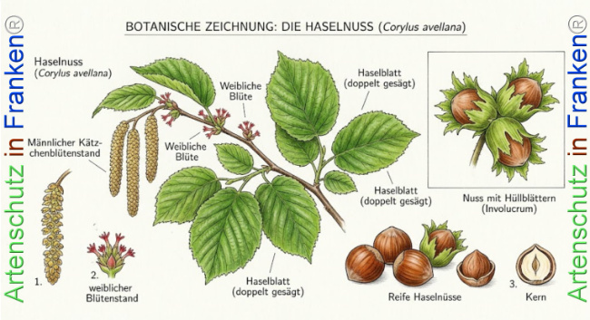 Bild zum Eintrag (1146380-160)