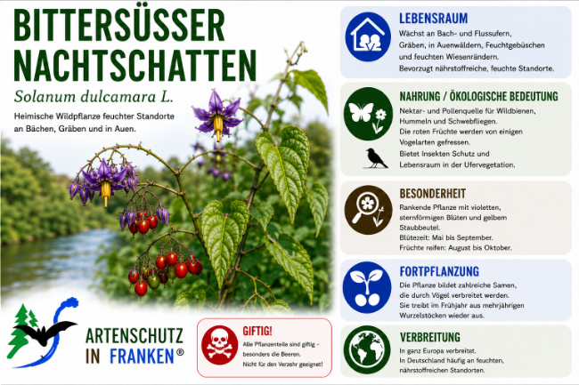 Bild zum Eintrag (1146572-160)
