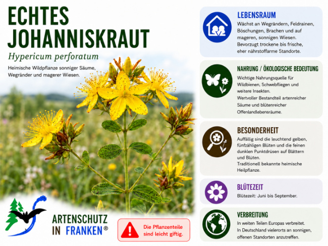 Bild zum Eintrag (1146648-160)
