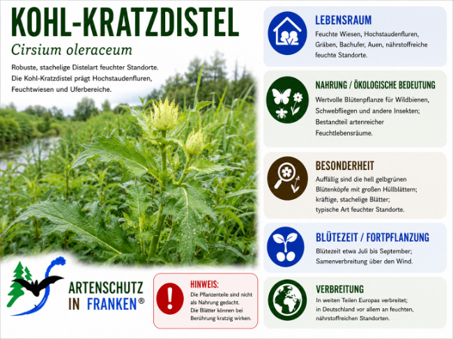 Bild zum Eintrag (1146661-160)