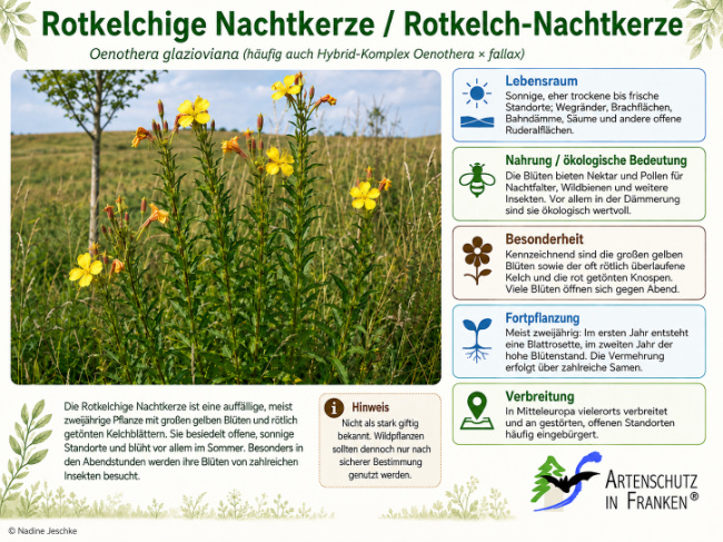 Bild zum Eintrag (1146784-160)