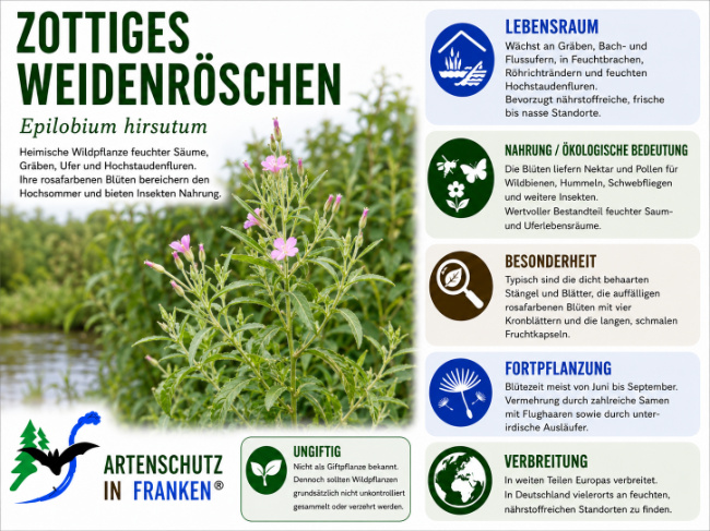 Bild zum Eintrag (1146820-160)