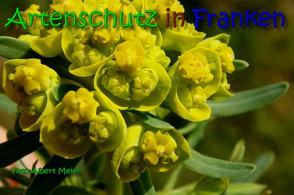 Bild zum Eintrag (1148932-160)