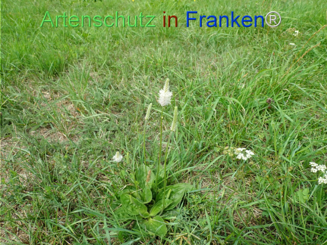 Bild zum Eintrag (1149247-160)