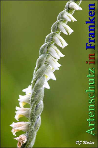 Bild zum Eintrag (1149826-160)