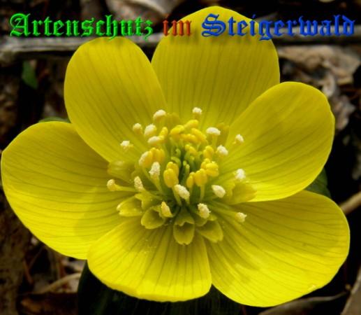 Copyright AiS / 2009 - Albert Meier Bild zum Eintrag (22632-160)