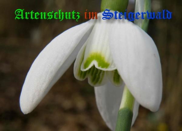 Copyright AiS / 2009 - Albert Meier Bild zum Eintrag (22634-160)