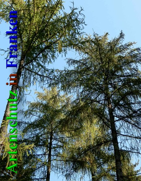 Copyright AiS- Albert Meier Bild zum Eintrag (23489-160)