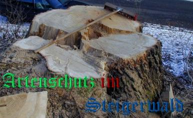 Copyright AiS / Hummel Bild zum Eintrag (23906-160)