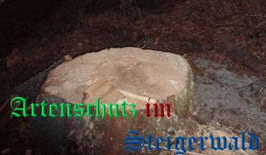 Copyright AiS / Weidner Bild zum Eintrag (23907-160)