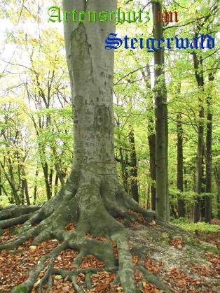 Copyright AiS / 2008 Albert Meier Bild zum Eintrag (23913-160)