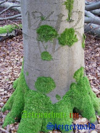 Copyright AiS / 2008 Albert Meier Bild zum Eintrag (23915-160)