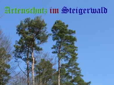 Copyright AiS / Weidner Bild zum Eintrag (24012-160)