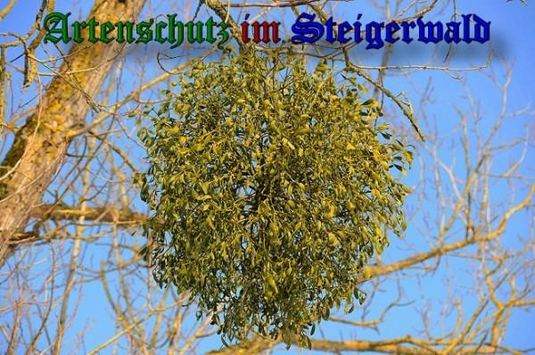 Copyright AiS / 2010 - Rother Bild zum Eintrag (26680-160)