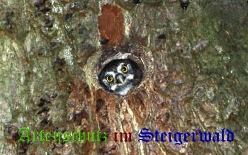 Copyright AiS / Dr. Georg Sperber Bild zum Eintrag (27909-160)