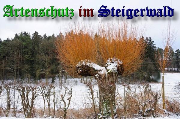 Copyright AiS / 2010 Rother Bild zum Eintrag (28168-160)
