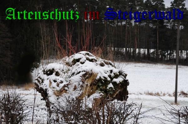 Copyright AiS / 2010 Rother Bild zum Eintrag (28169-160)