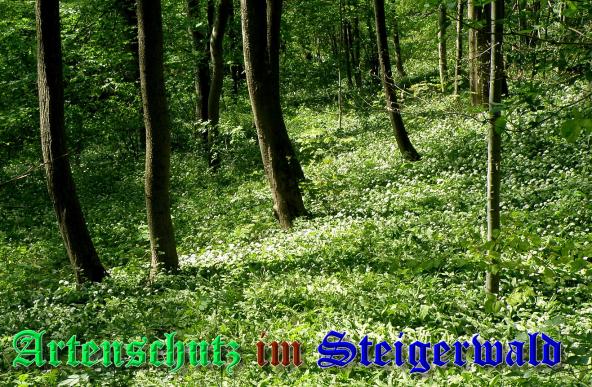 Copyright AiS- Albert Meier Bild zum Eintrag (37092-160)