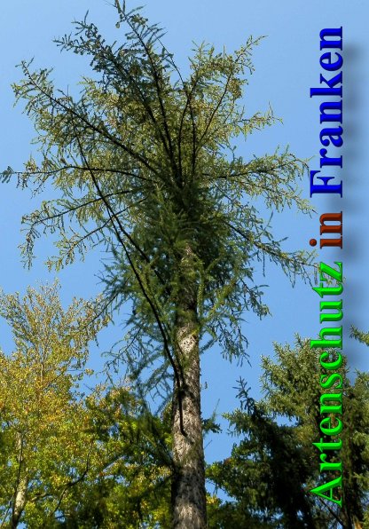 Copyright AiS- Albert Meier Bild zum Eintrag (41543-160)