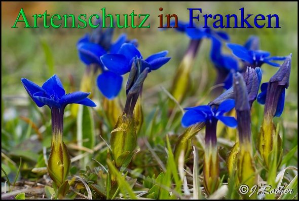 Copyright AiS - Johannes Rother Bild zum Eintrag (46131-160)
