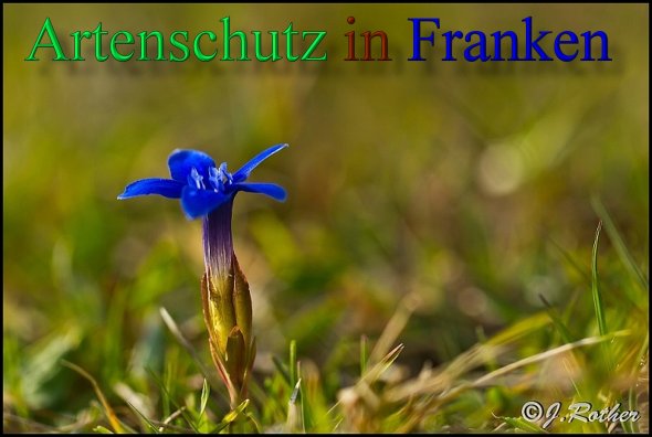 Copyright AiS-Johannes Rother Bild zum Eintrag (46133-160)