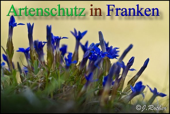 Copyright AiS-Johannes Rother Bild zum Eintrag (46135-160)