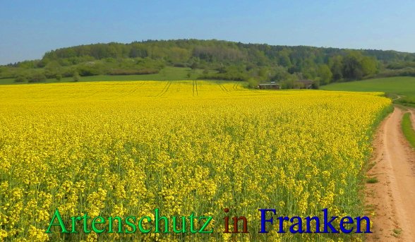 Bild zum Eintrag (46251-160)