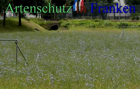 Copyright AiS- Albert Meier Bild zum Eintrag (47797-160)