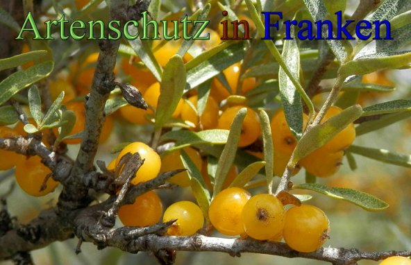 Bild zum Eintrag (48422-160)