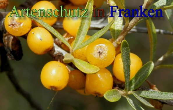 Bild zum Eintrag (48423-160)