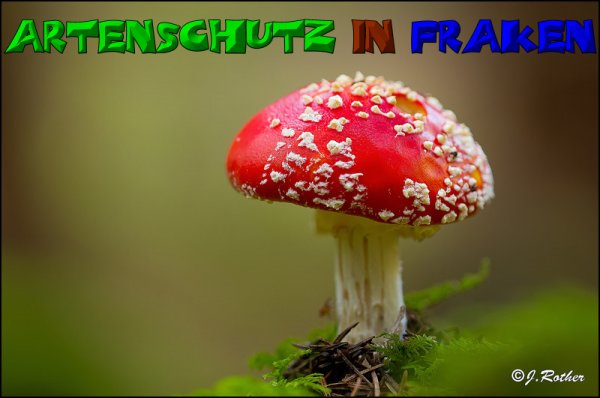 Copyright AiS-Johannes Rother Bild zum Eintrag (52681-160)