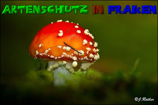 Copyright AiS-Johannes Rother Bild zum Eintrag (52682-160)