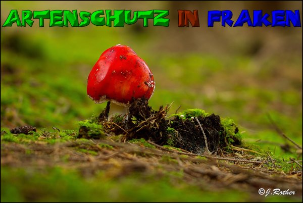 Copyright AiS-Johannes Rother Bild zum Eintrag (52683-160)