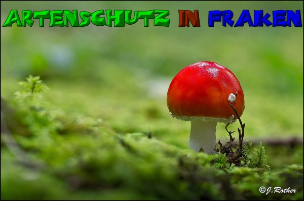 Copyright AiS-Johannes Rother Bild zum Eintrag (52695-160)