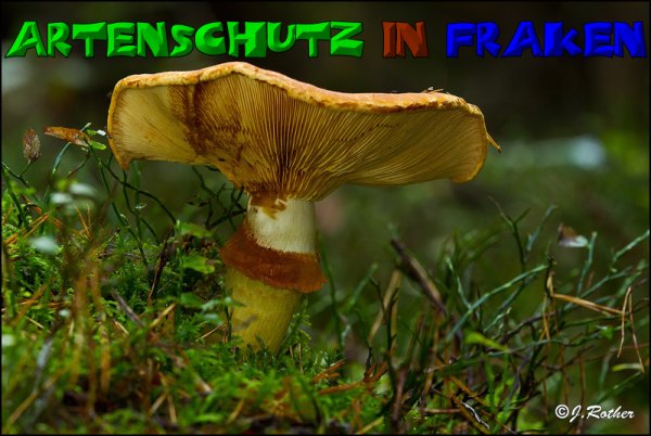 Copyright AiS-Johannes Rother Bild zum Eintrag (52710-160)