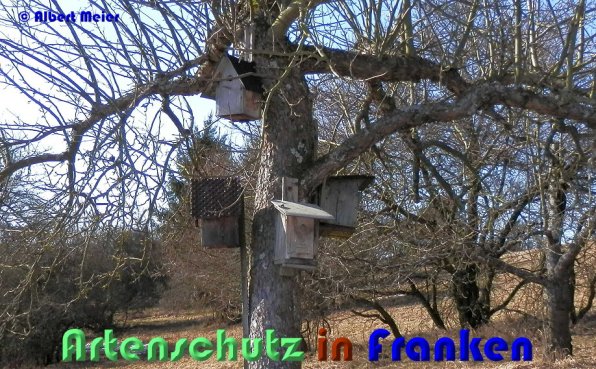 Copyright AiS Albert Meier Bild zum Eintrag (54631-160)