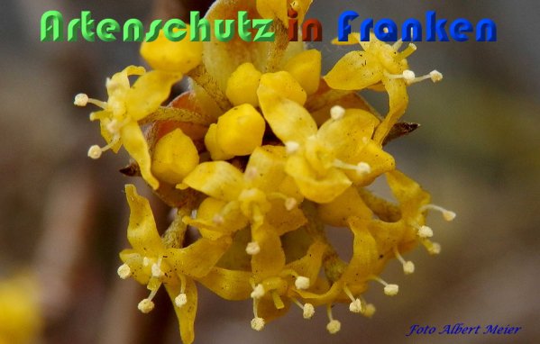 Bild zum Eintrag (56465-160)