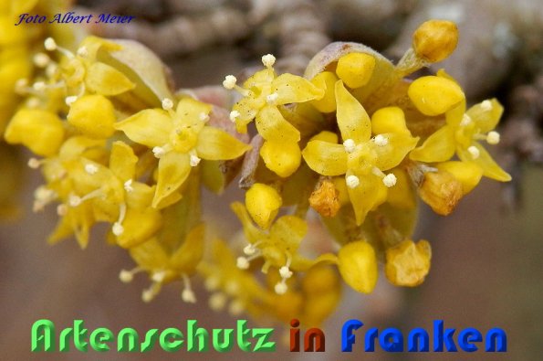Bild zum Eintrag (56466-160)