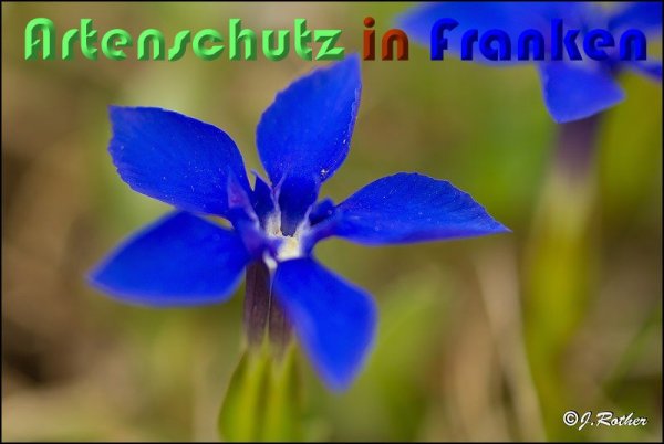 Copyright AiS Johannes Rother Bild zum Eintrag (57137-160)