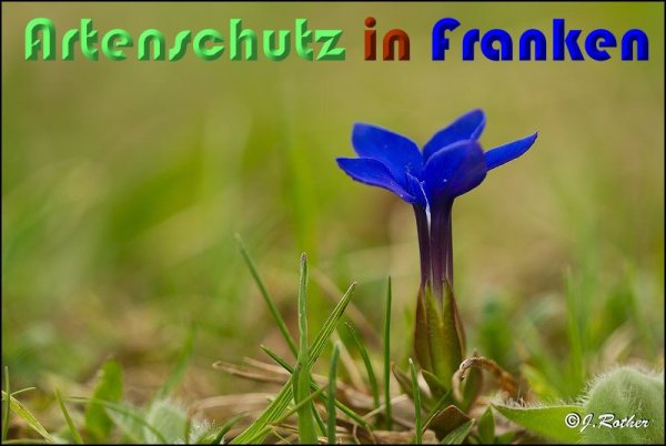 Copyright AiS Johannes Rother Bild zum Eintrag (57140-160)