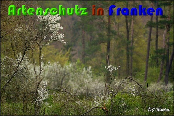 Bild zum Eintrag (57252-160)