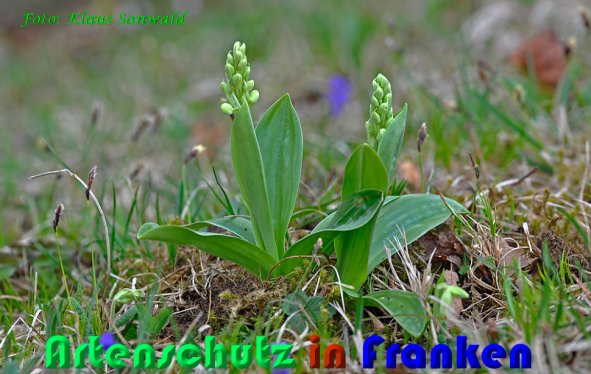 Copyright AiS Klaus Sanwald Bild zum Eintrag (57641-160)