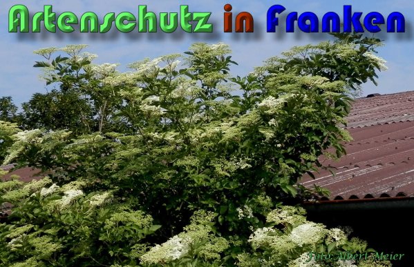 Bild zum Eintrag (58505-160)
