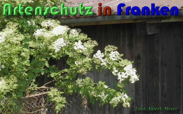 Bild zum Eintrag (58506-160)