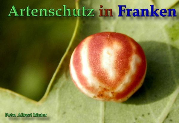 Copyright AiS Albert Meier Bild zum Eintrag (61671-160)
