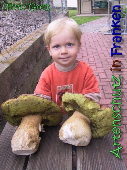 Copyright AiS Greb Bild zum Eintrag (62287-160)