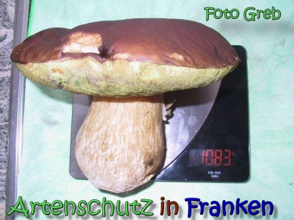 Copyright AiS Greb Bild zum Eintrag (62288-160)