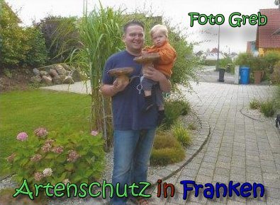 Copyright AiS Greb Bild zum Eintrag (62289-160)