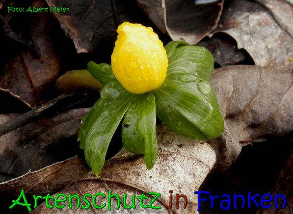 Bild zum Eintrag (63509-160)