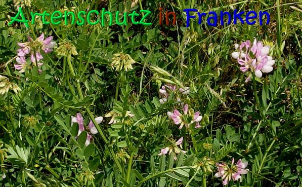 Bild zum Eintrag (67013-160)